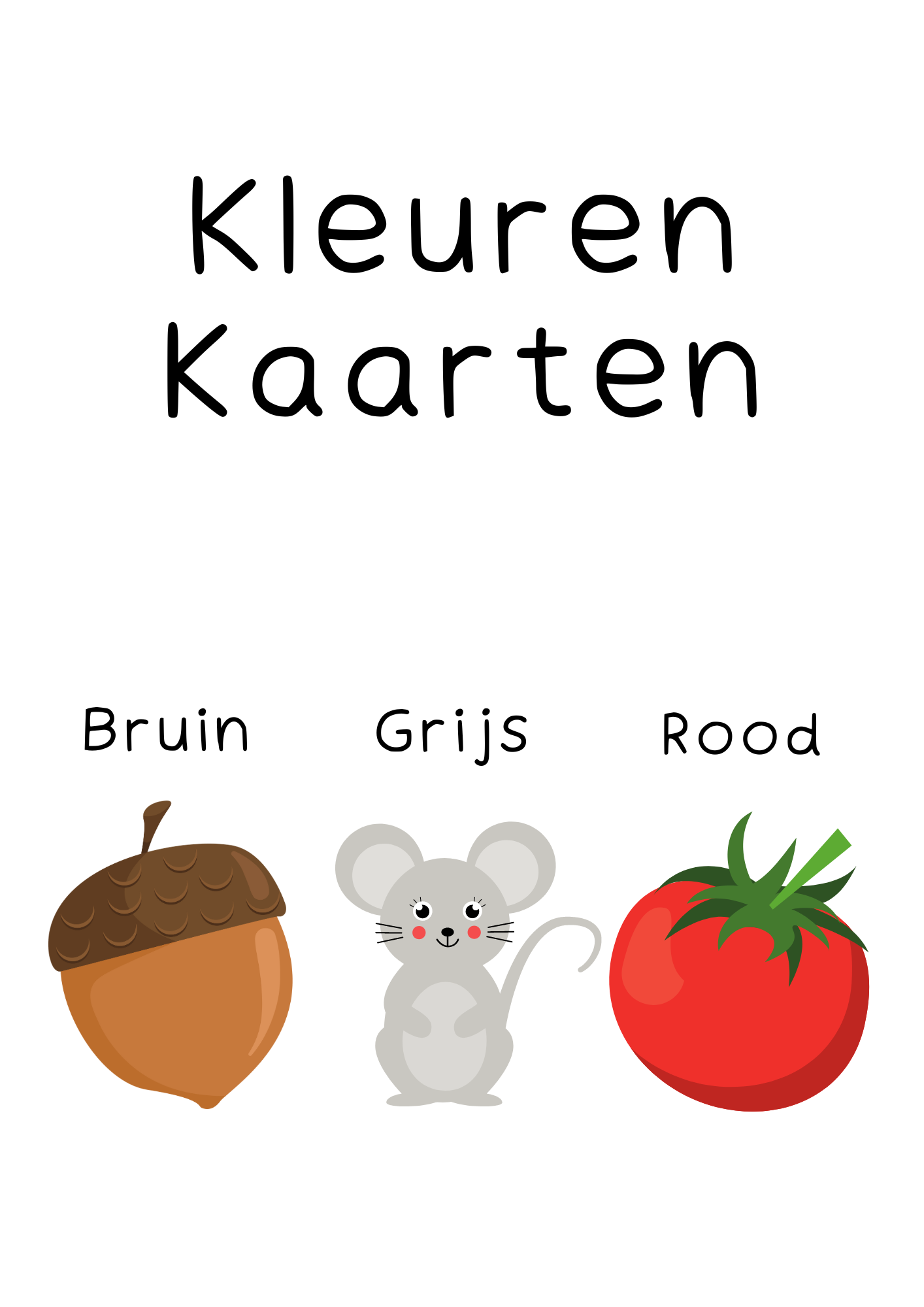 Kleurenkaarten voor kinderen (12 stuks)