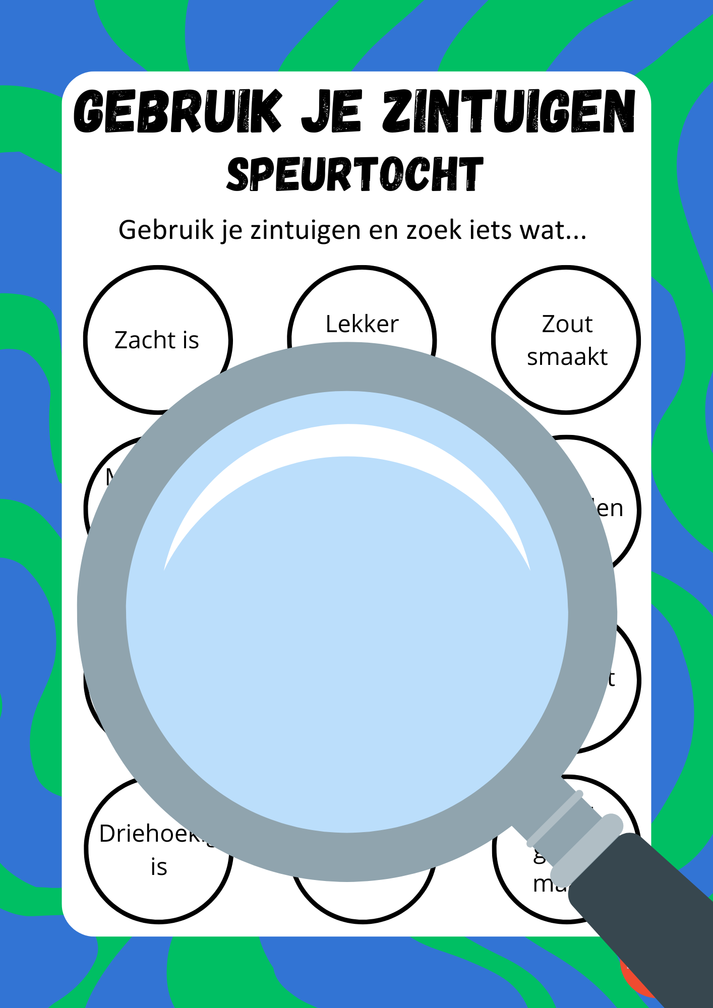 Zintuigen speurtocht