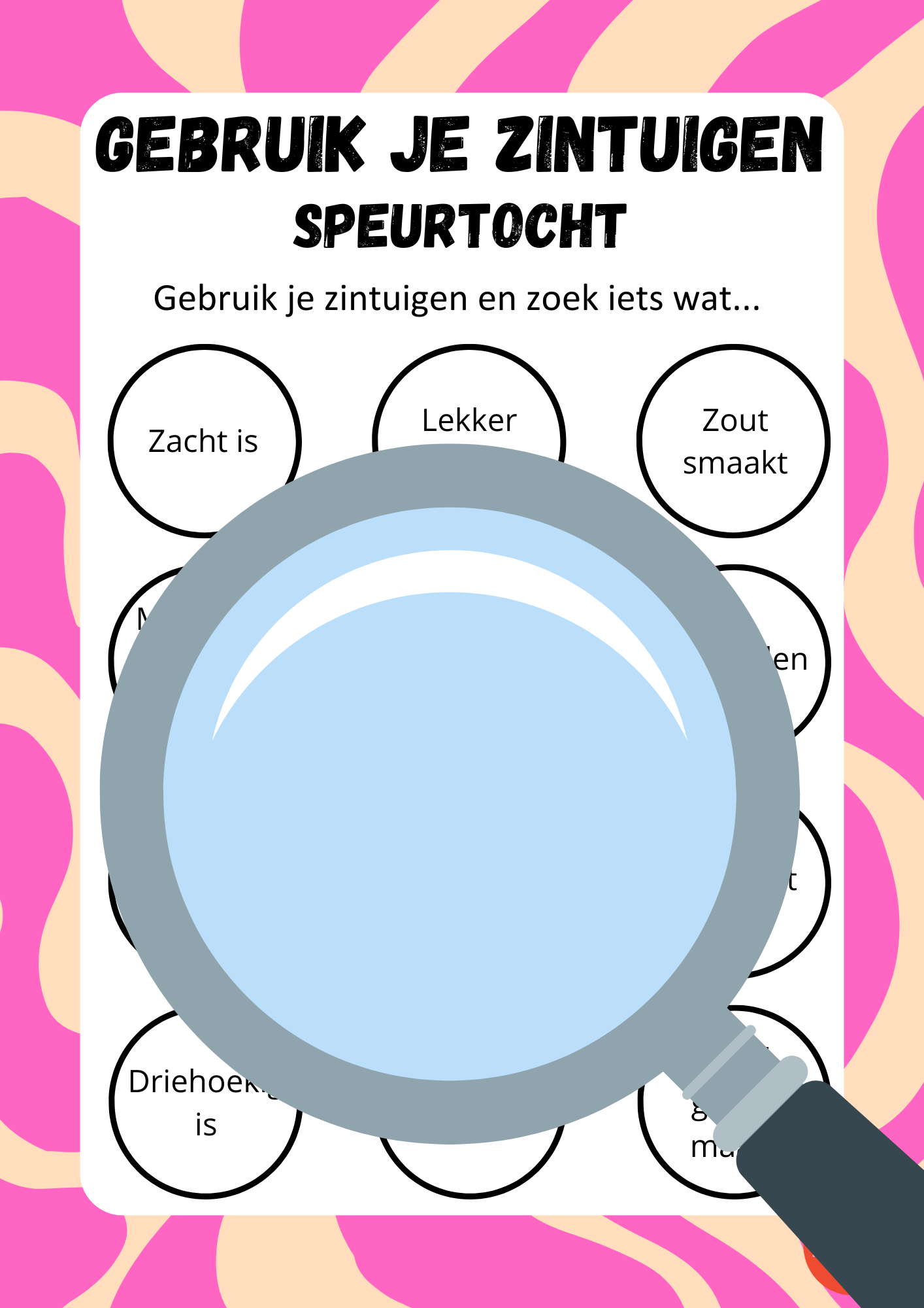 Zintuigen speurtocht