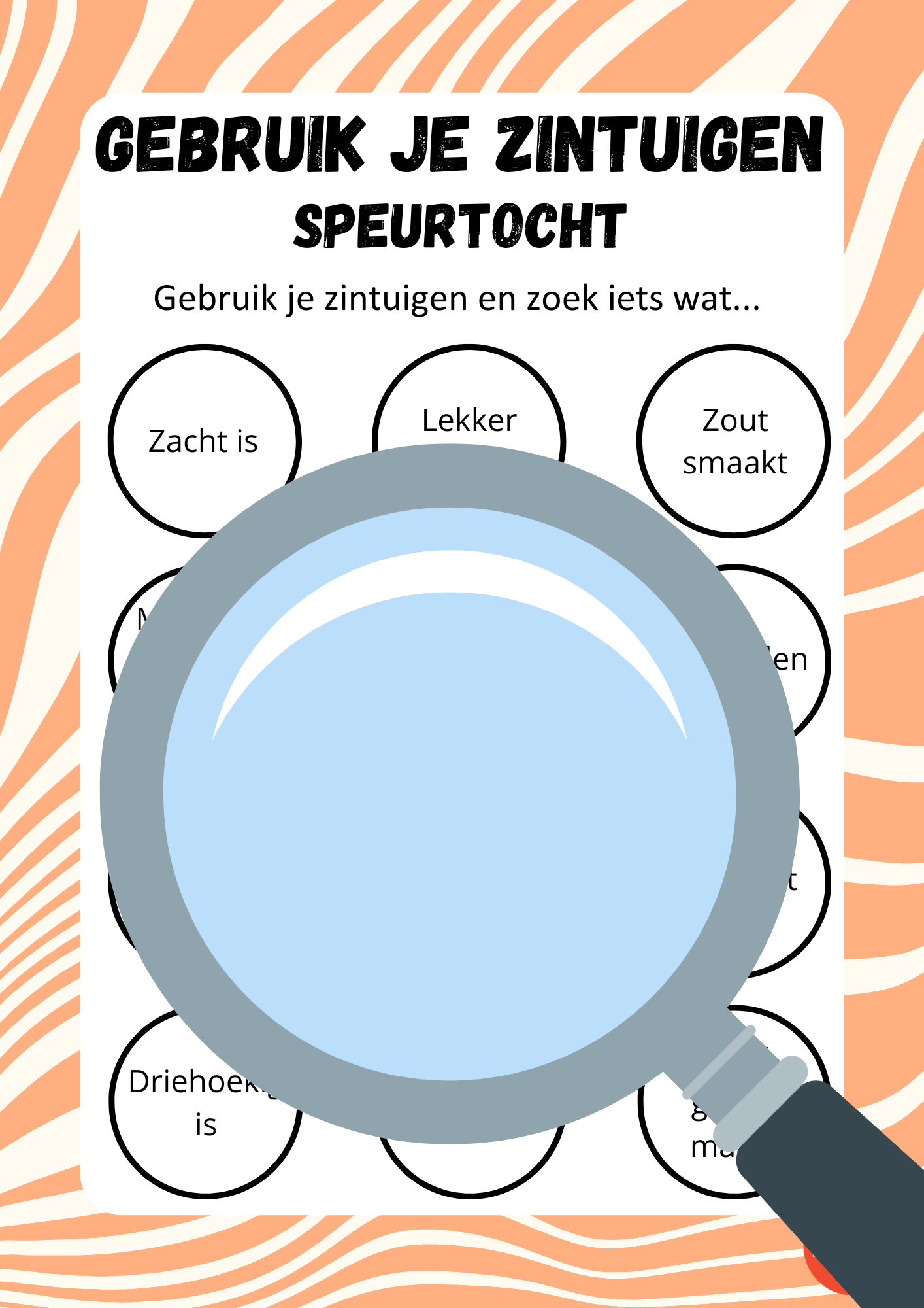 Zintuigen speurtocht