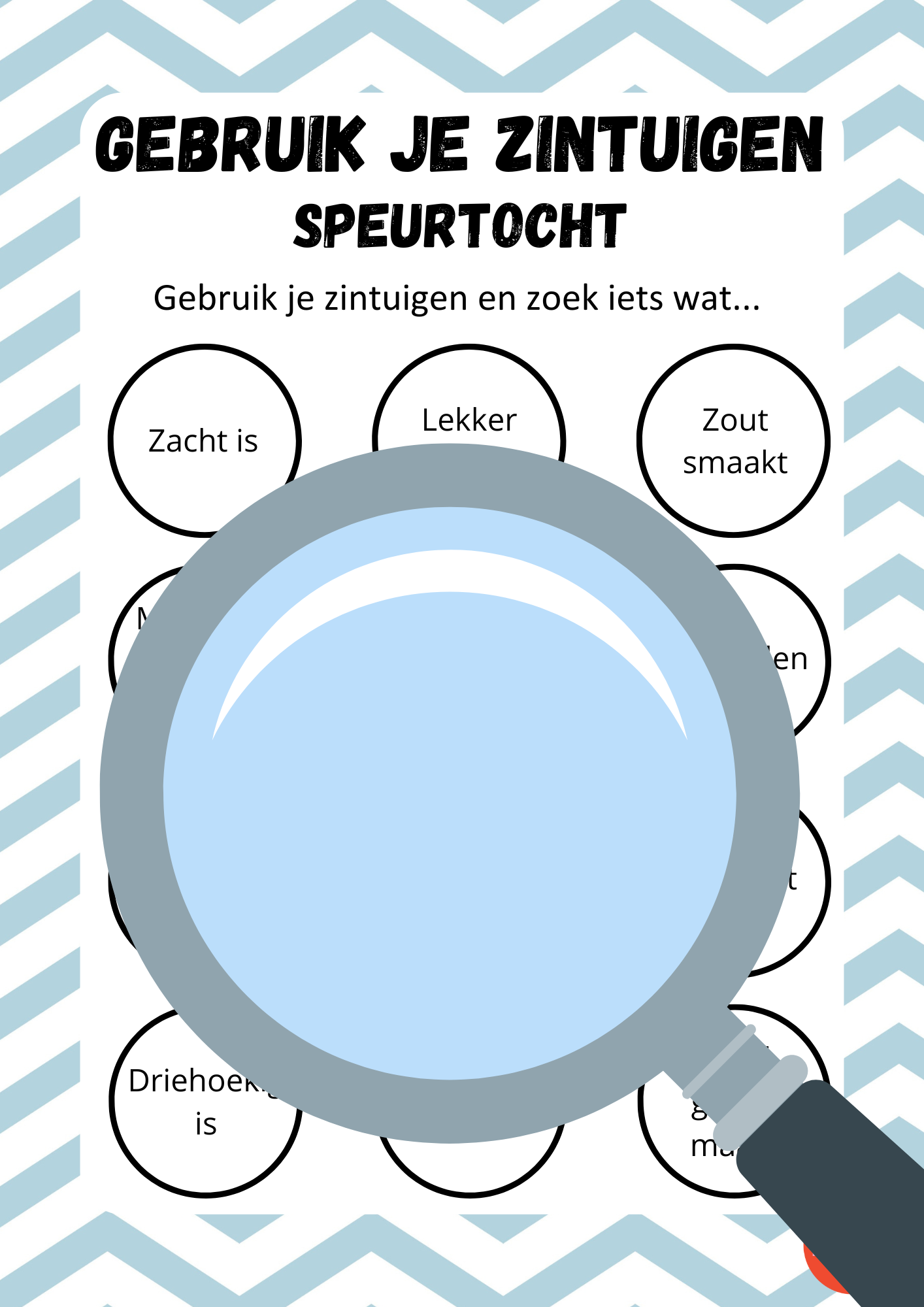 Zintuigen speurtocht